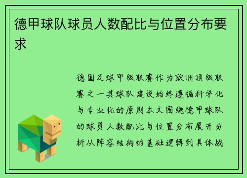德甲球队球员人数配比与位置分布要求