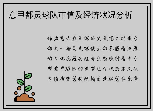 意甲都灵球队市值及经济状况分析